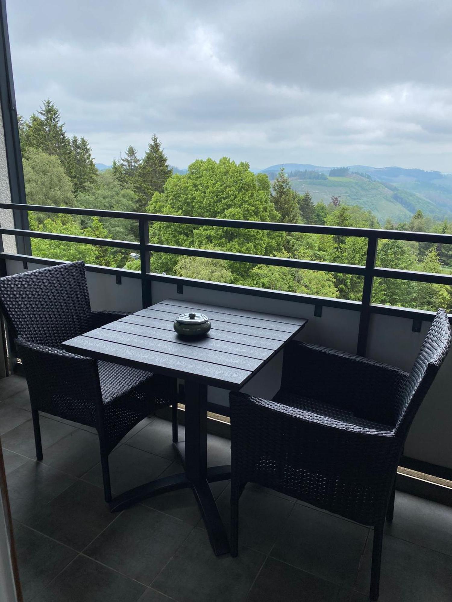 Apartment Bergluft Winterberg Am Bikepark, Skilift, Ssc エクステリア 写真