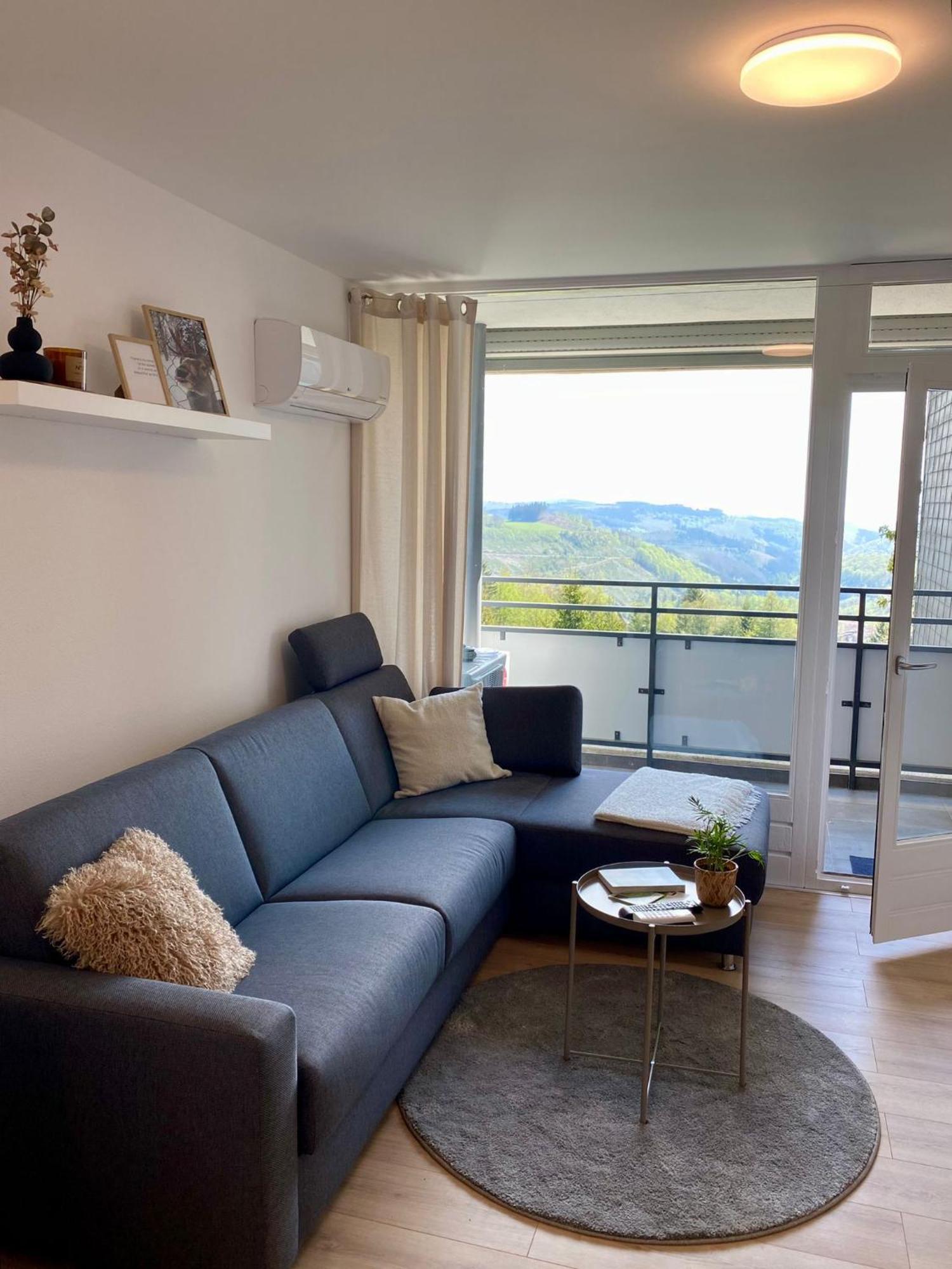 Apartment Bergluft Winterberg Am Bikepark, Skilift, Ssc エクステリア 写真