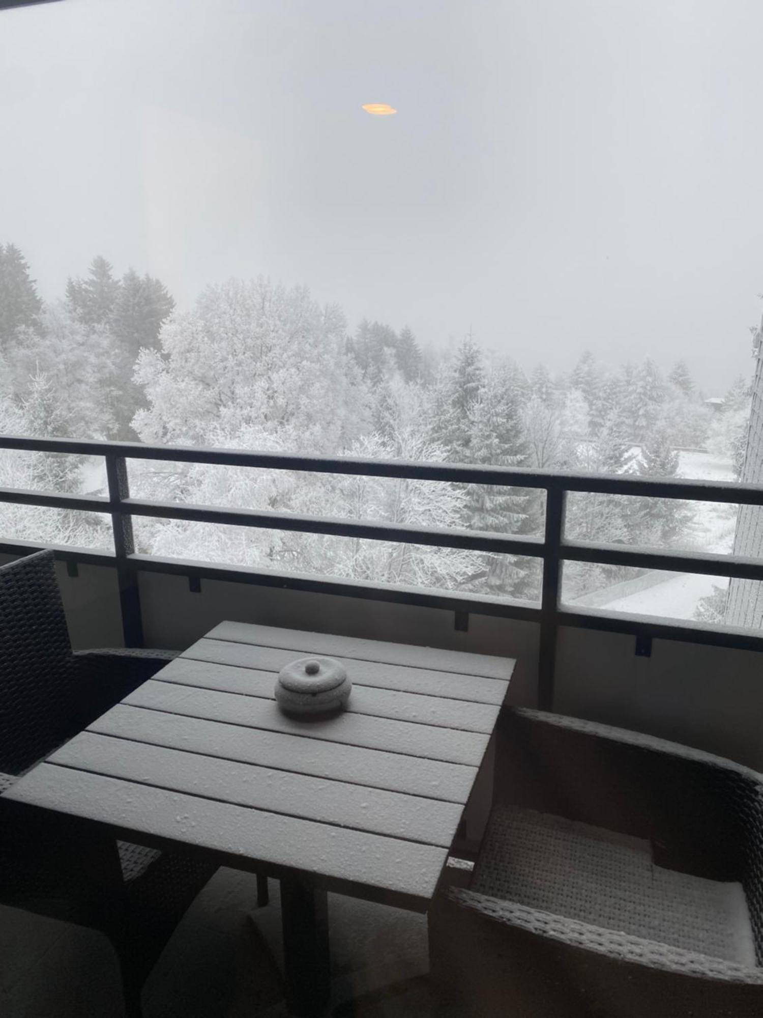 Apartment Bergluft Winterberg Am Bikepark, Skilift, Ssc エクステリア 写真